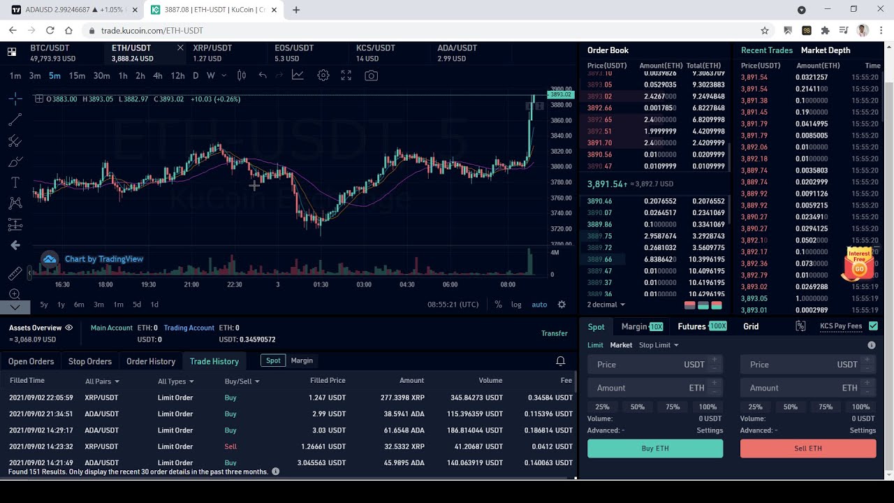 btc live transactions