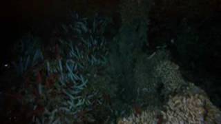 Volcanoes Of The Deep Sea Movie Trailer. Volcanoes Of The Deep Sea Movie Trailer.