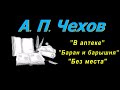 А. П. Чехов, короткие рассказы, &quot;В аптеке&quot;, &quot;Без места&quot;, аудиокнига. A.P. Chekhov,  audiobook