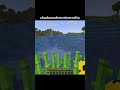 OSZUKAŁEM W MINECRAFTCIE..