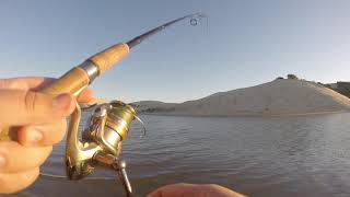 Rush Of Blue Fishing, catching Gurnard and Garrick (Leervis)