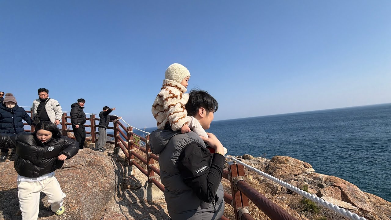 하조대절경에 나타난 날다람쥐 