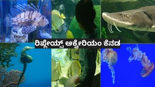 ರಿಪ್ಲೇಯ್ಸ್ ಅಕ್ವೇರಿಯಂ ಕೆನಡ??| Ripley's aquarium of Canada - Biggest aquarium| Sushma Kannada vlogs