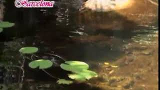 Download Lagu You Mean Everything To Me - Video Karaoke (Barcelona) MP3