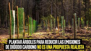 Plantar árboles para reducir las emisiones de dióxido carbono no es una propuesta realista