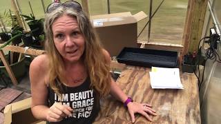 Greenhouse Megastore Unboxing, first impressions.