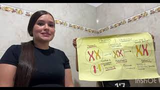 video biologia molecular- Meiosis y variabilidad genetica