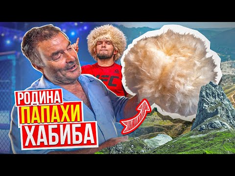 Своими руками папаха