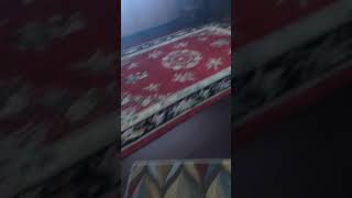 Bored Smashing A Usless Device D