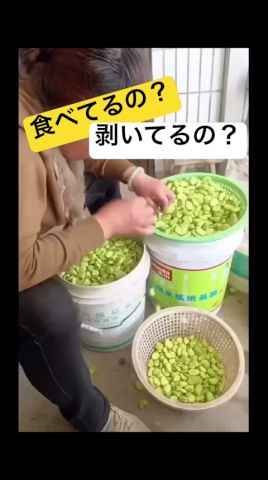 日本に入ってきてないよね?
