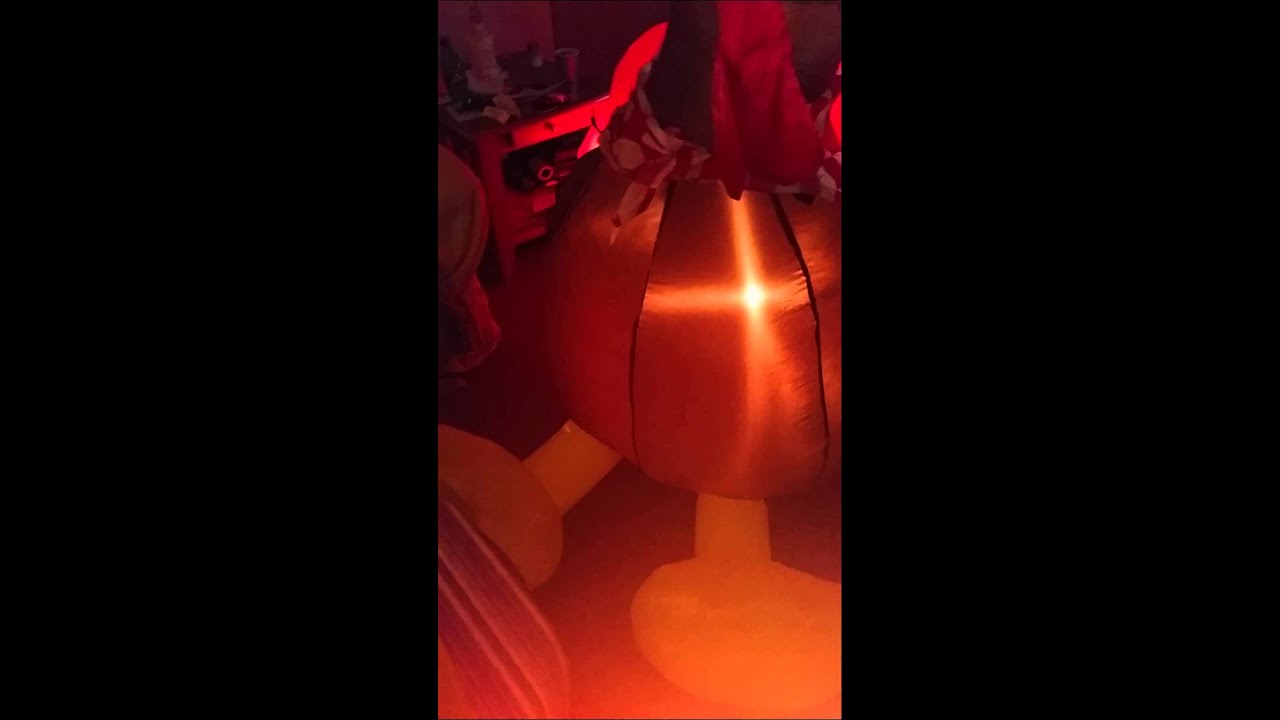 camera iphone 8 plus apk Inflatable turkey test