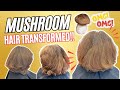 From Mushroom Cut 🍄 to Gorgeous Layers ✨ | Hair Transformation