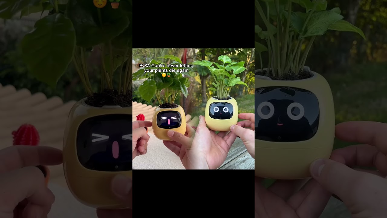 Never letting my plants die again 