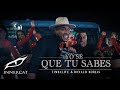 Timbalive  &  Ronald Borjas - Yo Sé Que Tu Sabes (Video Oficial)