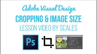 Cropping and Resizing updated