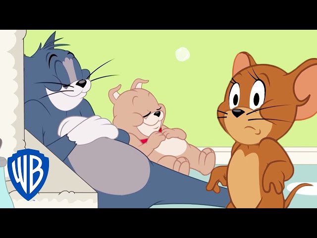 トムとジェリー トムとジェリー | 犬であることを忘れたタイク | WB Kids - YouTube