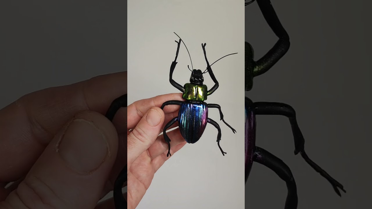 Carabidae. Handmade