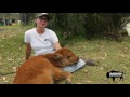 Aranyani Bison with Brooke Bishop and a Bison Calf