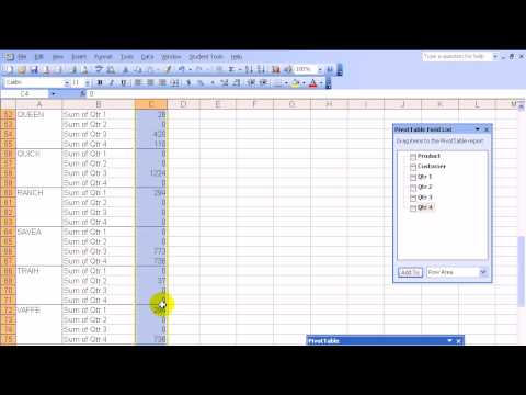 pivot table excel 2003