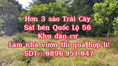Lớn tuổi không làm nổi nên Chú 3 kêu bán mảnh vườn "Tâm Huyết " đã bao năm gắn bó tại Xã Xà Bang !!