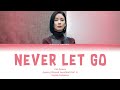 Kim Pureum - Never Let Go (Agency OST Part 5) Eng/Ina