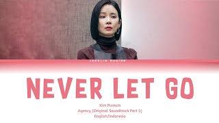 Kim Pureum - Never Let Go (Agency OST Part 5) Eng/Ina