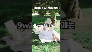 에니어그램 9유형이 1번 날개를 만나면 [9w1]