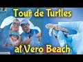 Tour de turtles at disneys vero beach resort  family vacation vlog