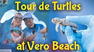 Tour de Turtles at Disney's Vero Beach Resort & Family Vacation Vlog