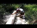 How to Mill Lumber With a Chainsaw - COMPLETE PROCESS