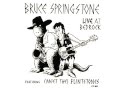 Bruce Springstone - Meet The Flintstones