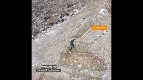 The beginning #paleontology #fossil #fun ##driven #fossils #FossilDigging #fossilhunter #travel