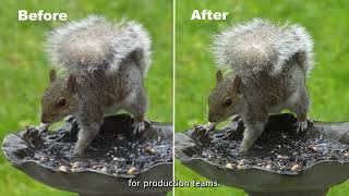 Project Starlight: A Major Breakthrough in AI Video Enhancement