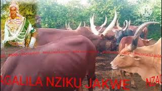 NZAGALILA UJUMBE NZIKU JANE 2025 MY, 0789297039