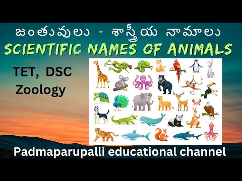 Scientific Names( zoological names) of animals : జంతువులు - వాటి శాస్త్రీయ  నామాలు: - YouTube