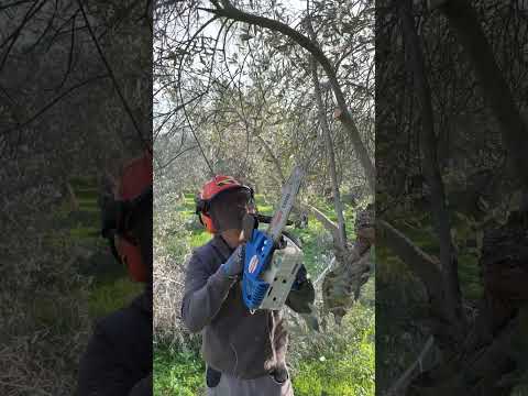 ΚΛΑΔΕΥΤΙΚΟ ΑΛΥΣΟΠΡΙΟΝΟ PROΤ