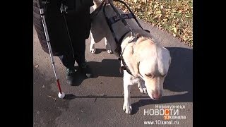 15 октября – международный День белой трости 15 октября – международный День белой трости