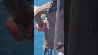 Absolutely Try Worthy