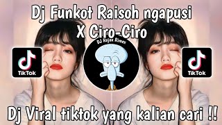 DJ FUNKOT RAISO NGAPUSI X CIRO CIRO DJ VIRAL TIKTOK 2024