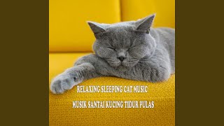 Relaxing Sleeping Cat Music - Musik Santai Kucing Tidur Pulas