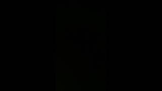 IMG 2363
