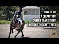 HOW TO DO A CLEAN TROT CANTER TRANSITION? - Dressage Mastery TV Episode 258