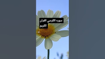 @سوره الكرسي#الحمد لله على نعمه القران@