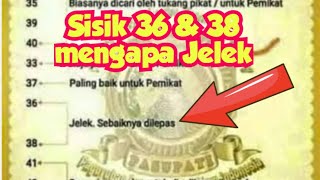 Mengapa Perkutut sisik 36&38 dikatakan Jelek