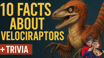 10 Incredible Velociraptor Facts That Will Change Everything