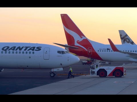 Vidéo: Quelles compagnies opèrent des vols entre Dallas et Australie ?