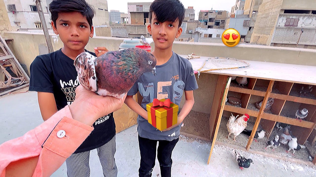 Gift De Diya Subscribe Ko 🎁 Arman Birds 🐦 Vlog
