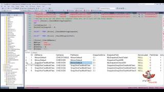 Custom Snapshot for Multiple Files
