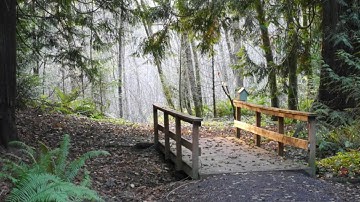 age regression hypnotherapy