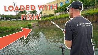 Fishing Downtown Chicago For TONS of Bass!? | Urban Bass Fishing